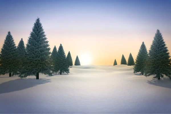 Çam ağaçları ile karlı manzara — Stok fotoğraf