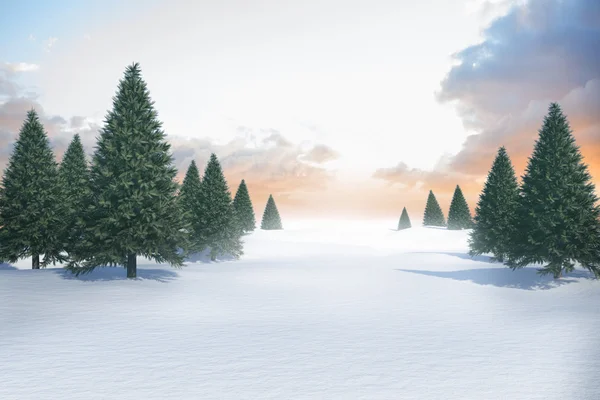 Snowy landscape with fir trees — Stock Photo, Image