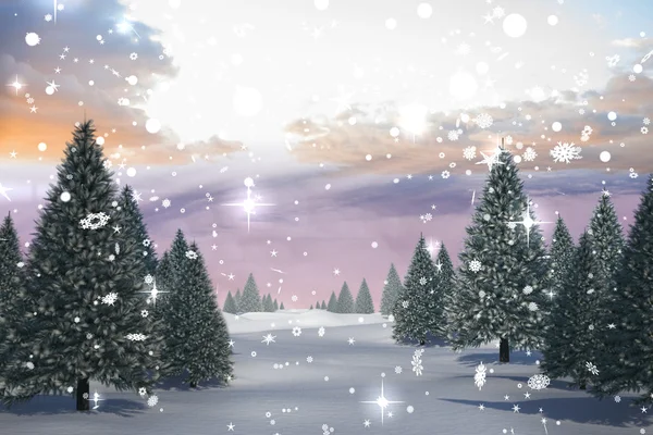 Снежный пейзаж с елками — стоковое фото