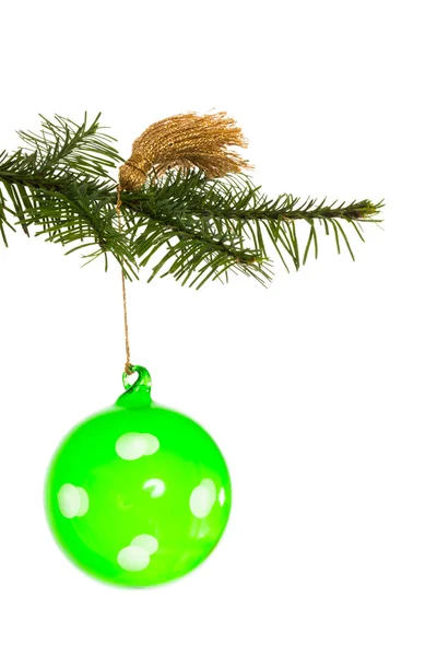 Grön Juldekoration hängande från gren — Stockfoto