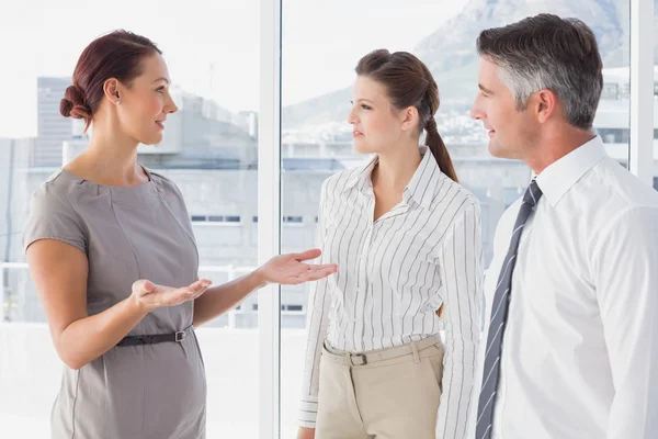 Affärskvinna prata med hennes medarbetare — Stockfoto