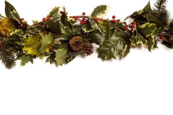 Holly en groene kerst takken — Stockfoto