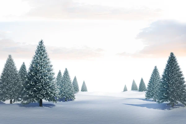 Śnieżny krajobraz z jodły — Zdjęcie stockowe
