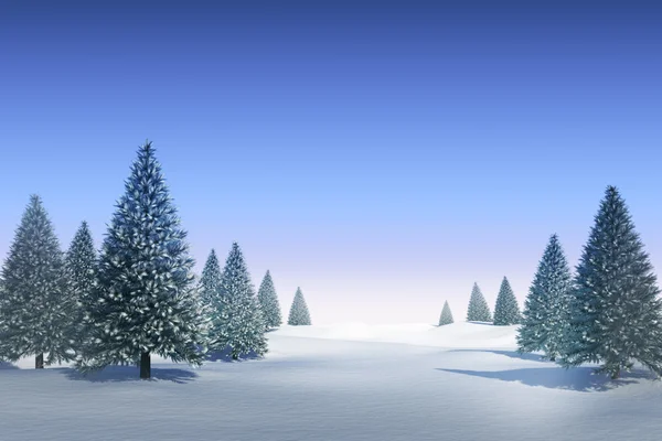 Snowy landscape with fir trees — Stock Photo, Image