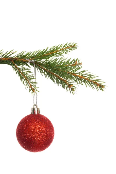 Röd Juldekoration hängande från gren — Stockfoto