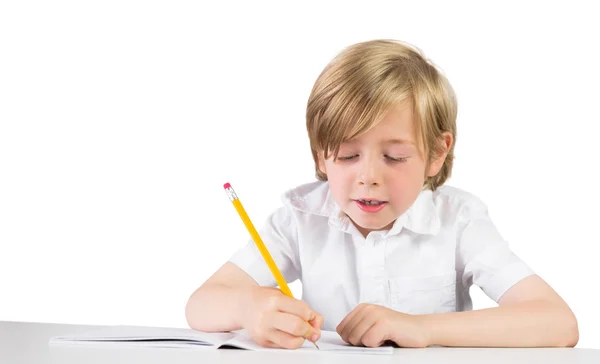 Glückliches Kind schreibt Hausaufgaben auf — Stockfoto