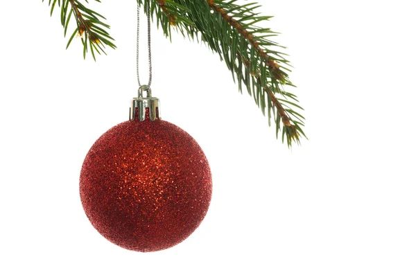 Bauble di Natale rosso appeso al ramo — Foto Stock