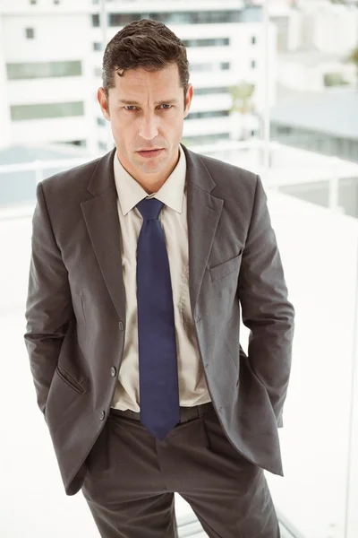 Inteligente hombre de negocios en traje en la oficina —  Fotos de Stock