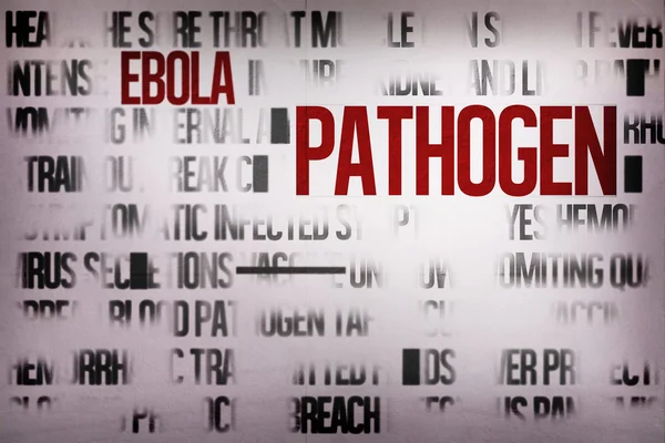 Digitally generated ebola word cluster — Stock Photo, Image