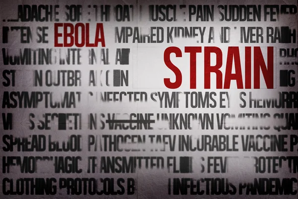 Digitally generated ebola word cluster — Stock Photo, Image