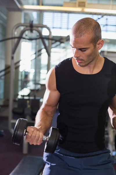 Joven haciendo ejercicio con pesas en el gimnasio — Foto de Stock