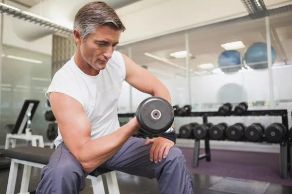 Fit man lifting dumbbells sitting on the bench — Stock Photo, Image