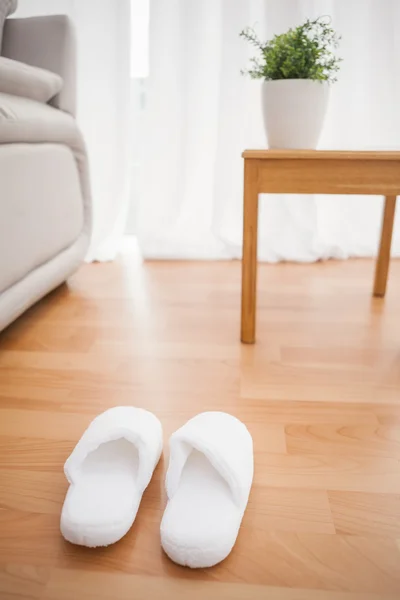 Fluffy slippers on the floor — Stock Photo, Image