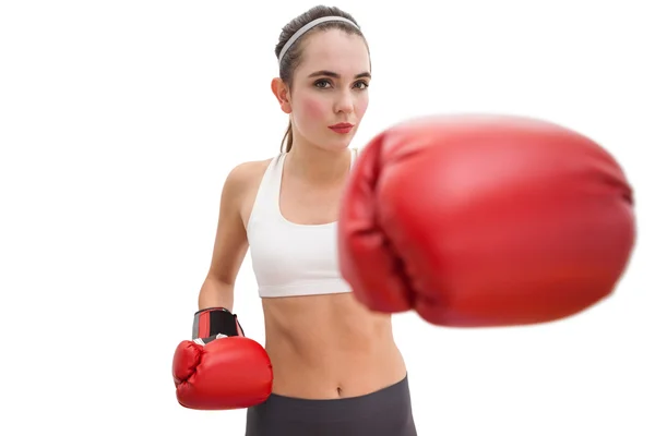 Fit brunette in boxing gloves — Stock Photo, Image