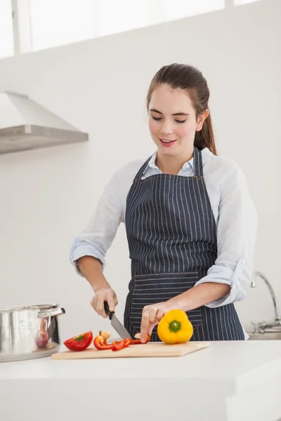 Pretty brunette cooking a healthy meal — Stock Photo, Image