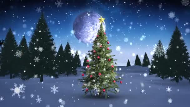 Babbo Natale e la sua slitta che sorvolano l'albero di Natale innevato — Video Stock