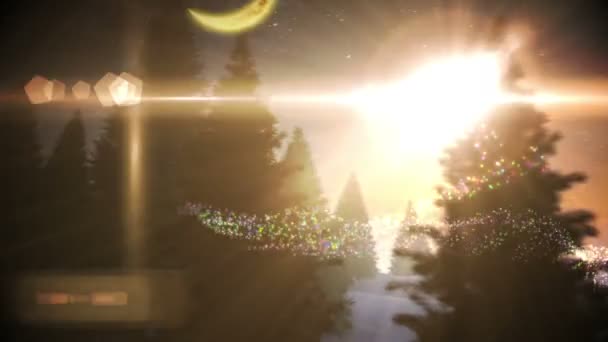 圣诞树用德国魔术问候语的雪花玻璃球里面 — 图库视频影像