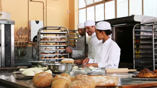 Equipo de panaderos trabajando juntos — Vídeos de Stock