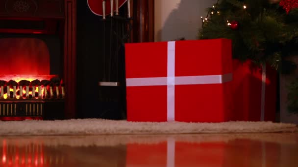 Santa delivering gifts under christmas tree — Stock Video