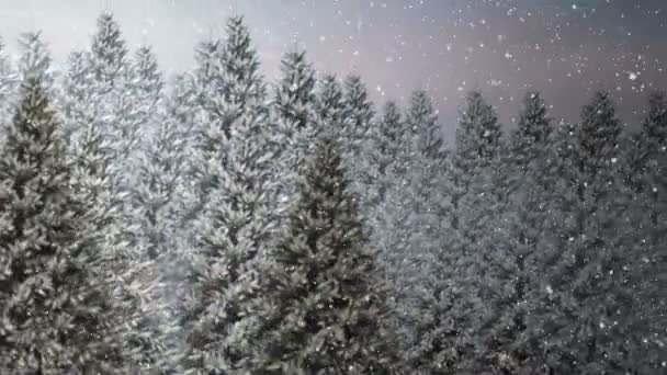 Świecie śniegu na parapecie patrząc do snowy lasu — Wideo stockowe