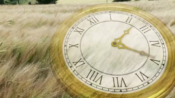 Orologio ticchettio sul vento che soffia erba — Video Stock