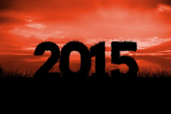 Composite image of 2015 — Stock Photo, Image