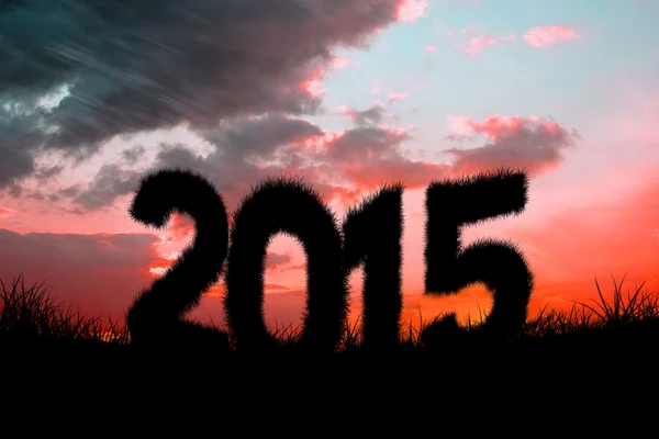 Composite image of 2015 — Stock Photo, Image