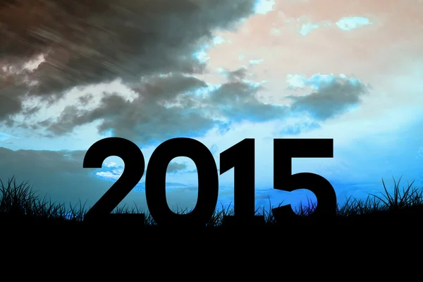 Composite image of 2015 — Stock Photo, Image