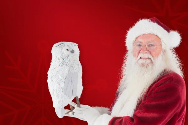 Дед Мороз держит сову — стоковое фото