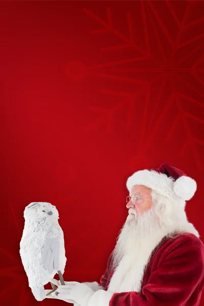 Дед Мороз держит сову — стоковое фото