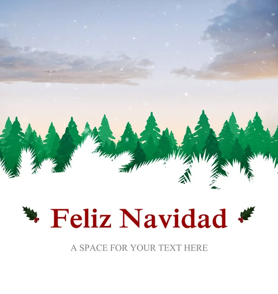 Navidad acebo con bayas rojas — Foto de Stock