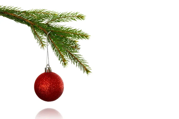 Röd christmas småsak hängande från gren — Stockfoto