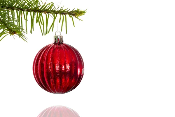 Red christmas decoration hanging from branch Stock Photo