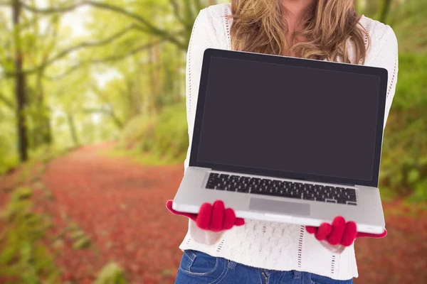 Festive blonde showing laptop — Stock Photo, Image