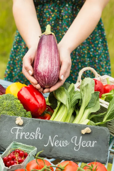 Samengestelde afbeelding van verse nieuwe jaar — Stockfoto