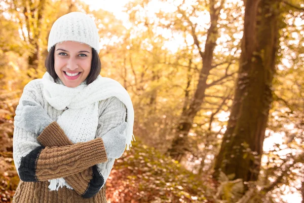 Brunette in warm clothing — Stock Photo, Image