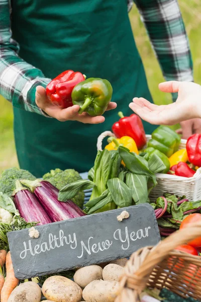 Composite image of healthy new year — Stock Photo, Image