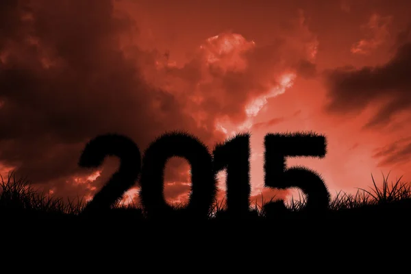 Composite image of 2015 — Stock Photo, Image