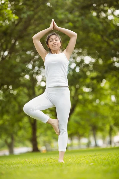 Woman standing in tree pose — Stock Photo, Image