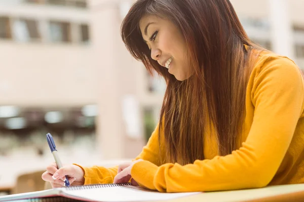 Student doing homework — Stock Photo, Image