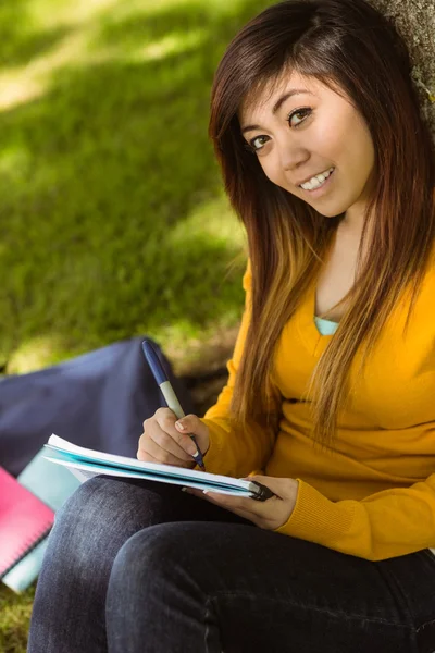 Estudiante haciendo deberes en el parque — Foto de Stock