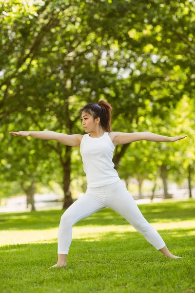 Frau macht Dehnübungen im Park — Stockfoto