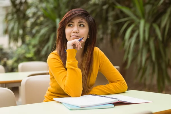 Kvinnliga högskolestudent gör läxor — Stockfoto