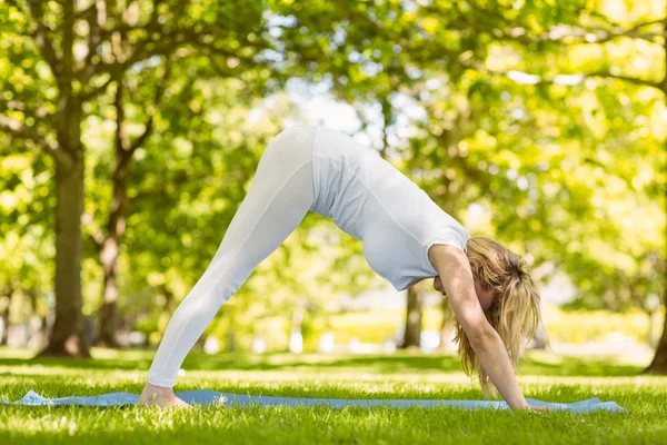 Vältränad blondin gör yoga i parken — Stockfoto