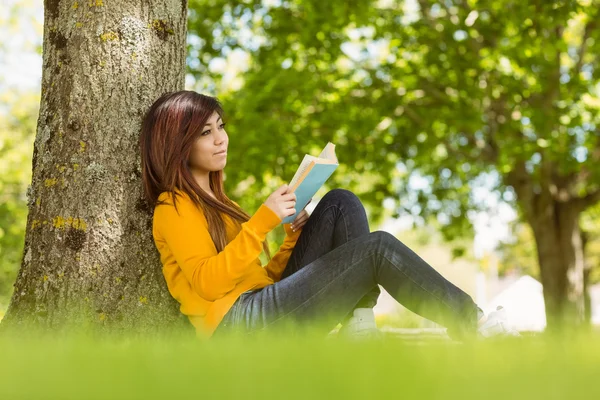 Student reading book against tree — Stock Photo, Image