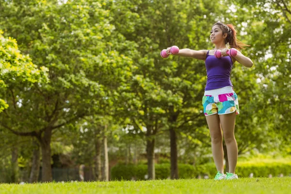 Woman lifting dumbbells in park — Stock Photo, Image
