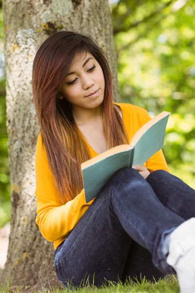 Estudiante leyendo libro contra árbol — Foto de Stock