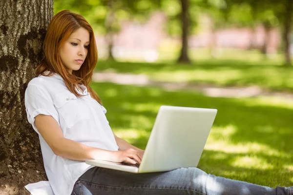 Pretty redhead sitting concentrating with her laptop — Stock Photo, Image