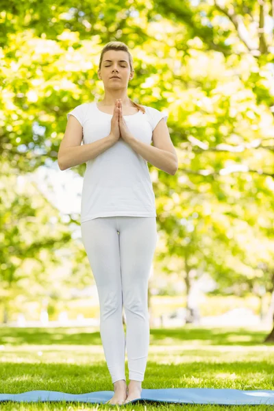 Mírové blondýnka dělá jógu v parku — Stock fotografie