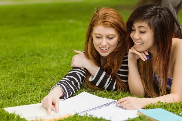 Female students with books in park — Stock Photo, Image